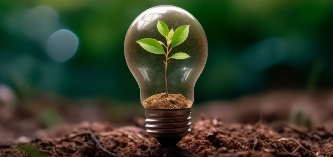 Nachhaltigkeit CO2 Kompensation
